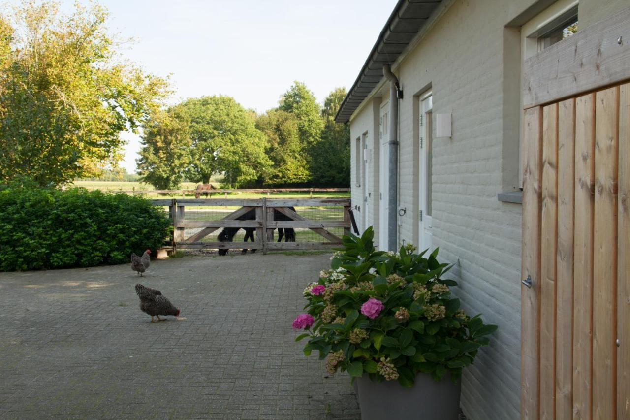 Het Rooversnest Riel Extérieur photo