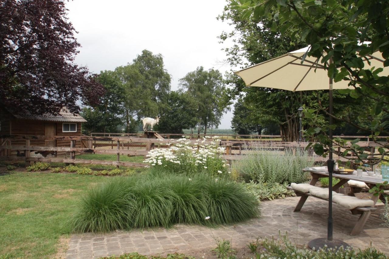 Het Rooversnest Riel Extérieur photo